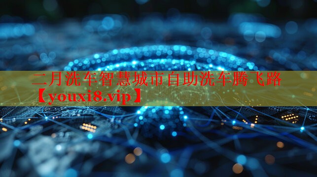 二月洗车智慧城市自助洗车腾飞路