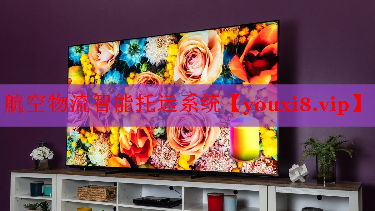 航空物流智能托运系统