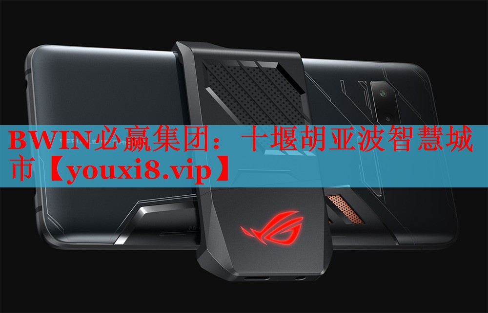BWIN必赢集团：十堰胡亚波智慧城市