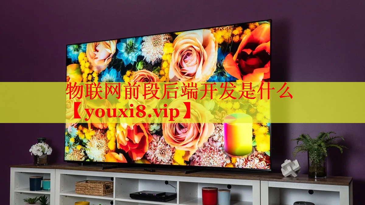 物联网前段后端开发是什么